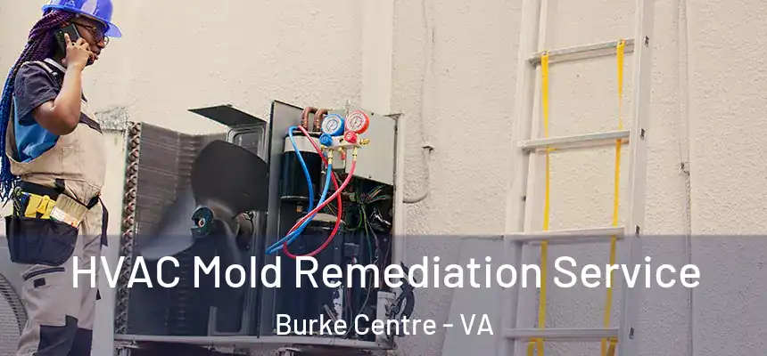  HVAC Mold Remediation Service Burke Centre - VA