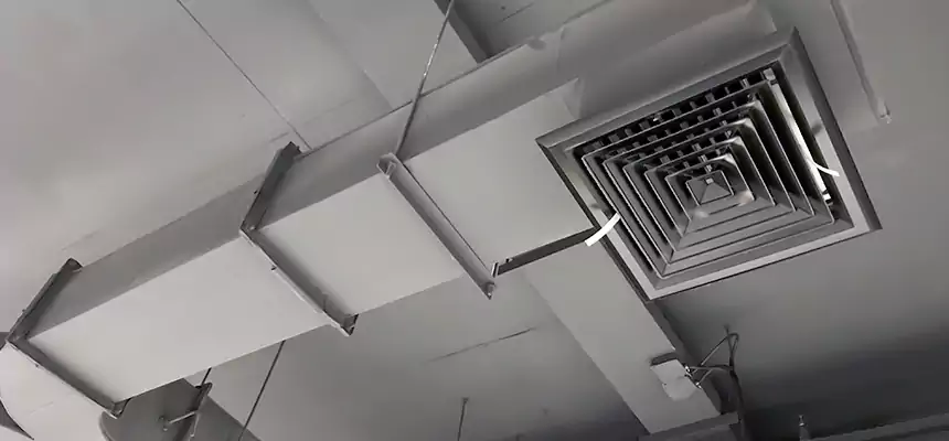 Restorative Allergy Relief Vent Cleaning – Coil, Blower & Housing Detail in Burke Centre