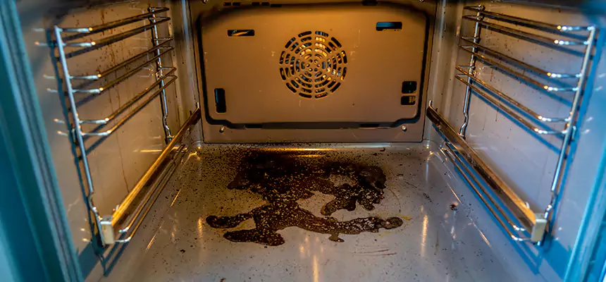 Our Dryer Vent Mold Cleaning Services in Burke Centre, VA