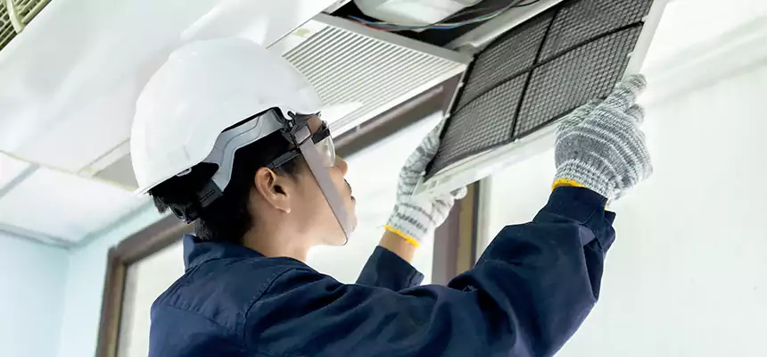 Our Mold & Mildew Removal from Air Ducts Services in Burke Centre, VA