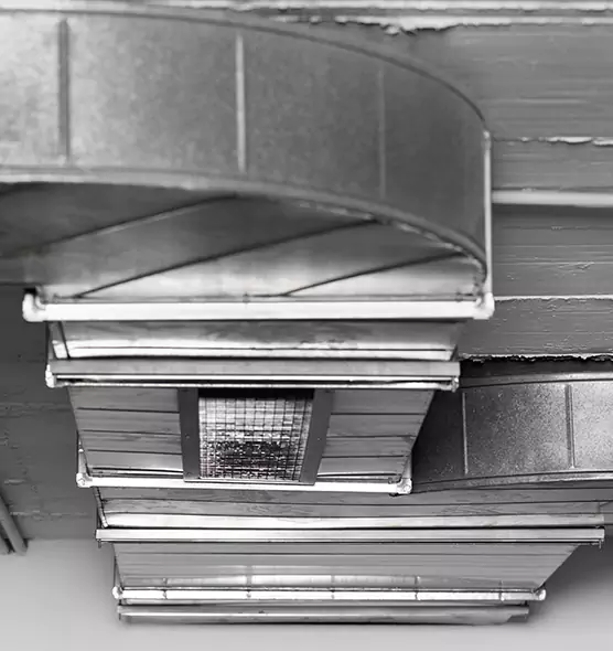 Professional Air Duct Pest Removal in Burke Centre, VA