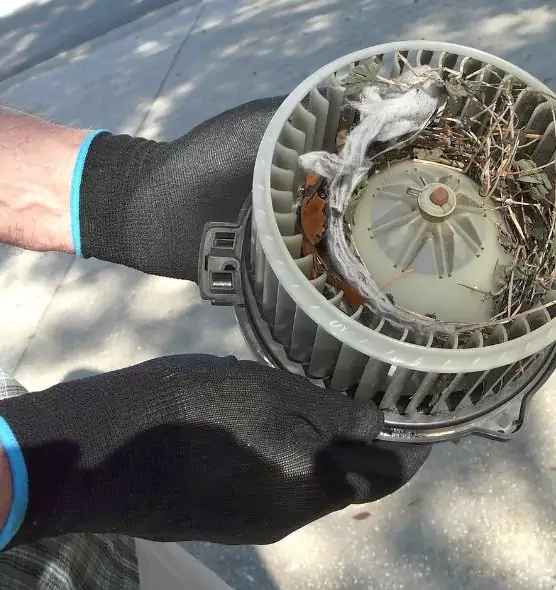 About Air Duct Rat Removal in Burke Centre, VA